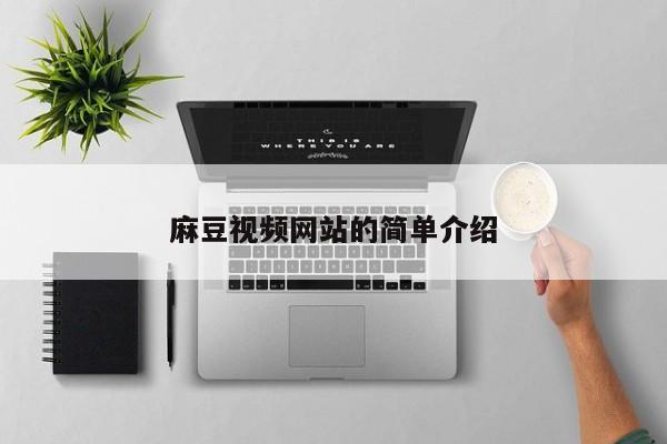 麻豆视频网站的简单介绍